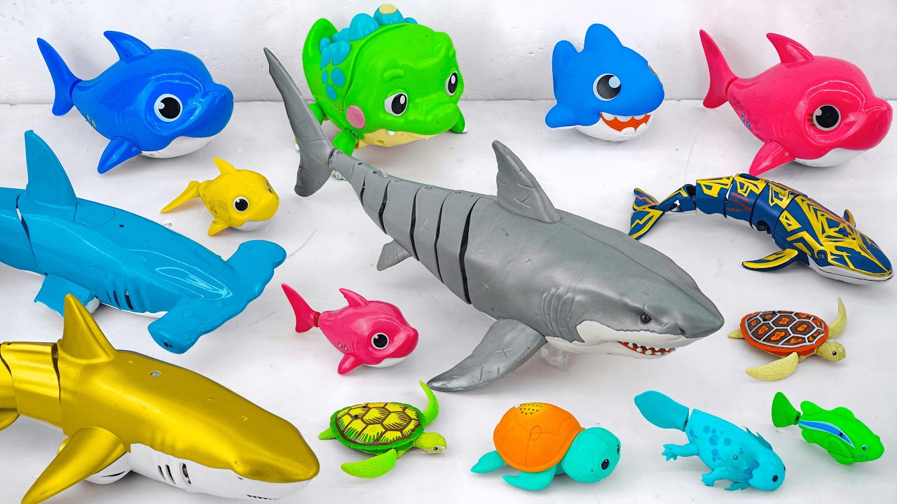 【TOY ASMR】 Satisfying with Unboxing ZURU Robo Alive Great White Shark &Water Park Adventure Playset