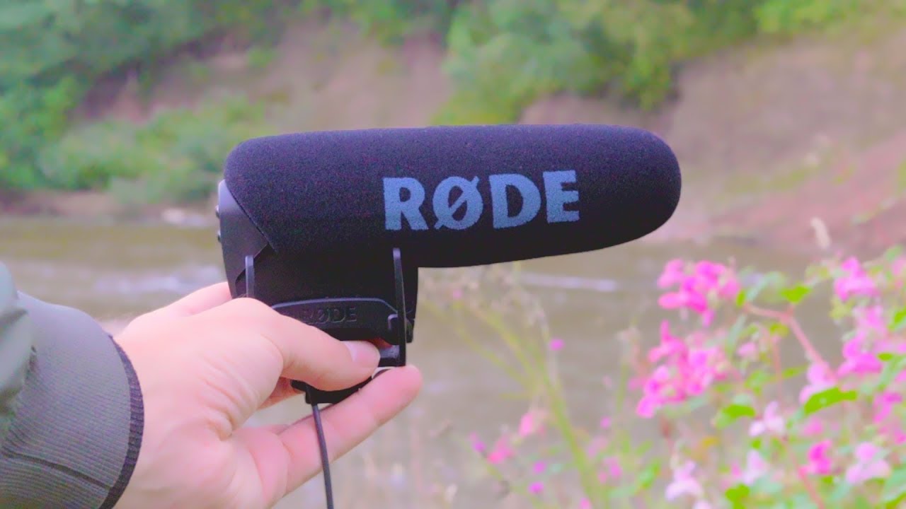 Rode Videomic Pro in 2019 - Test for Canon 250D & iPhone