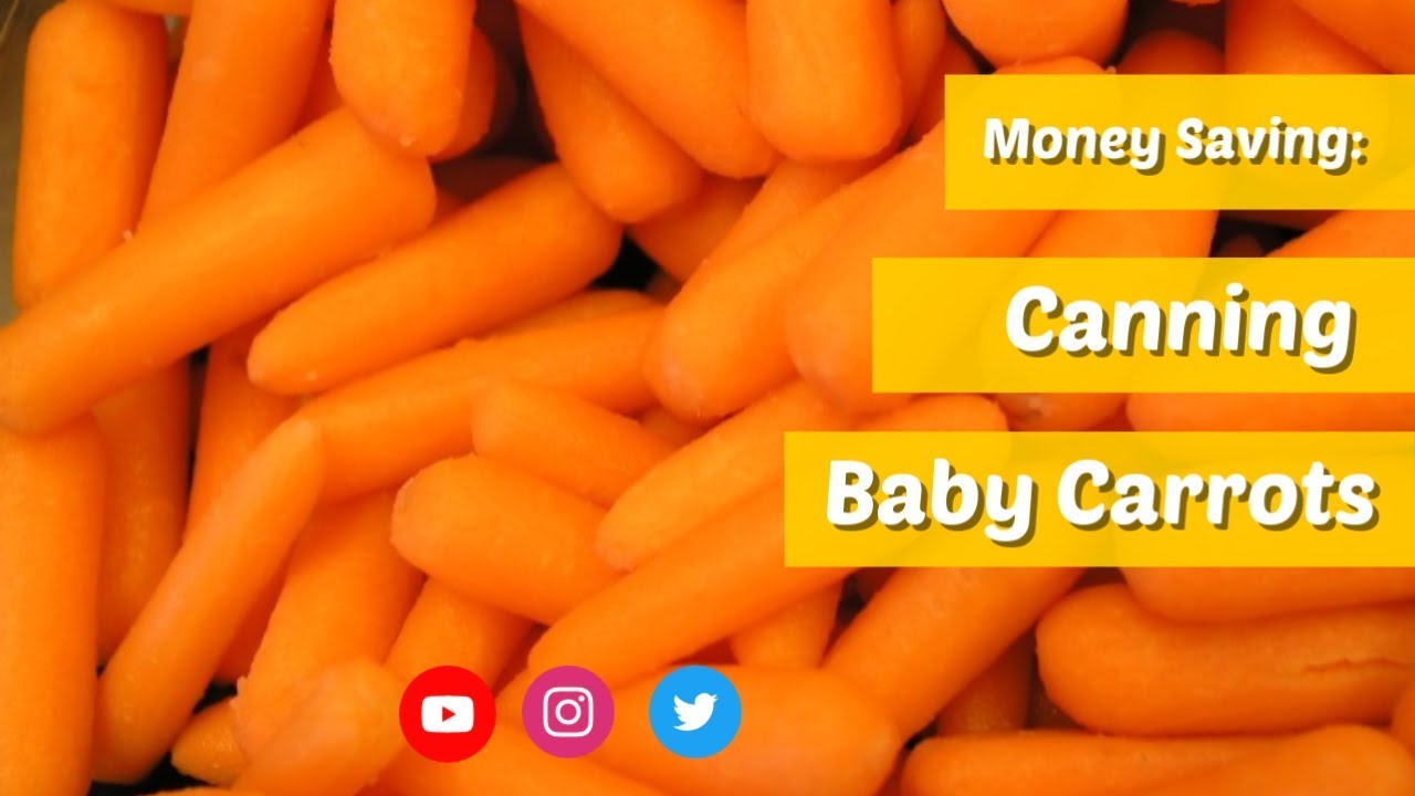 Money Savings - Canning Carrots