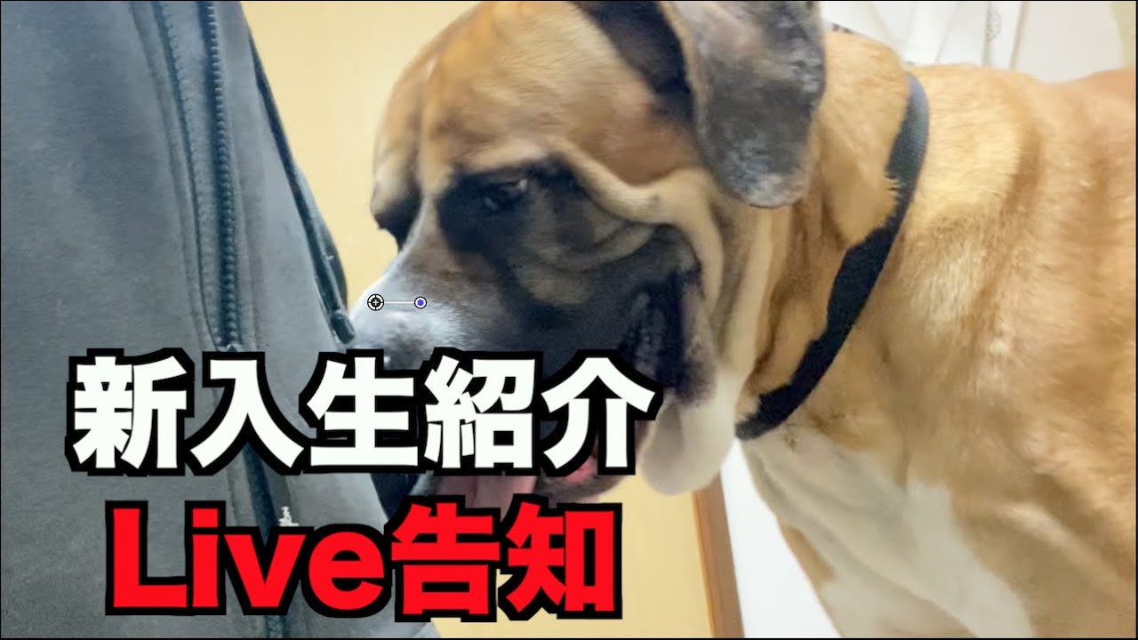 来たで！新入生！おっさん大丈夫か？