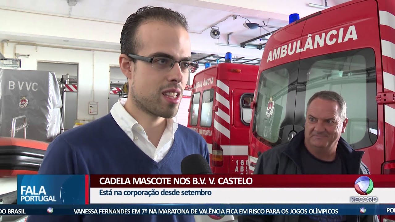 FALA PORTUGAL - Bombeiros de Viana do Castelo têm cadela mascote