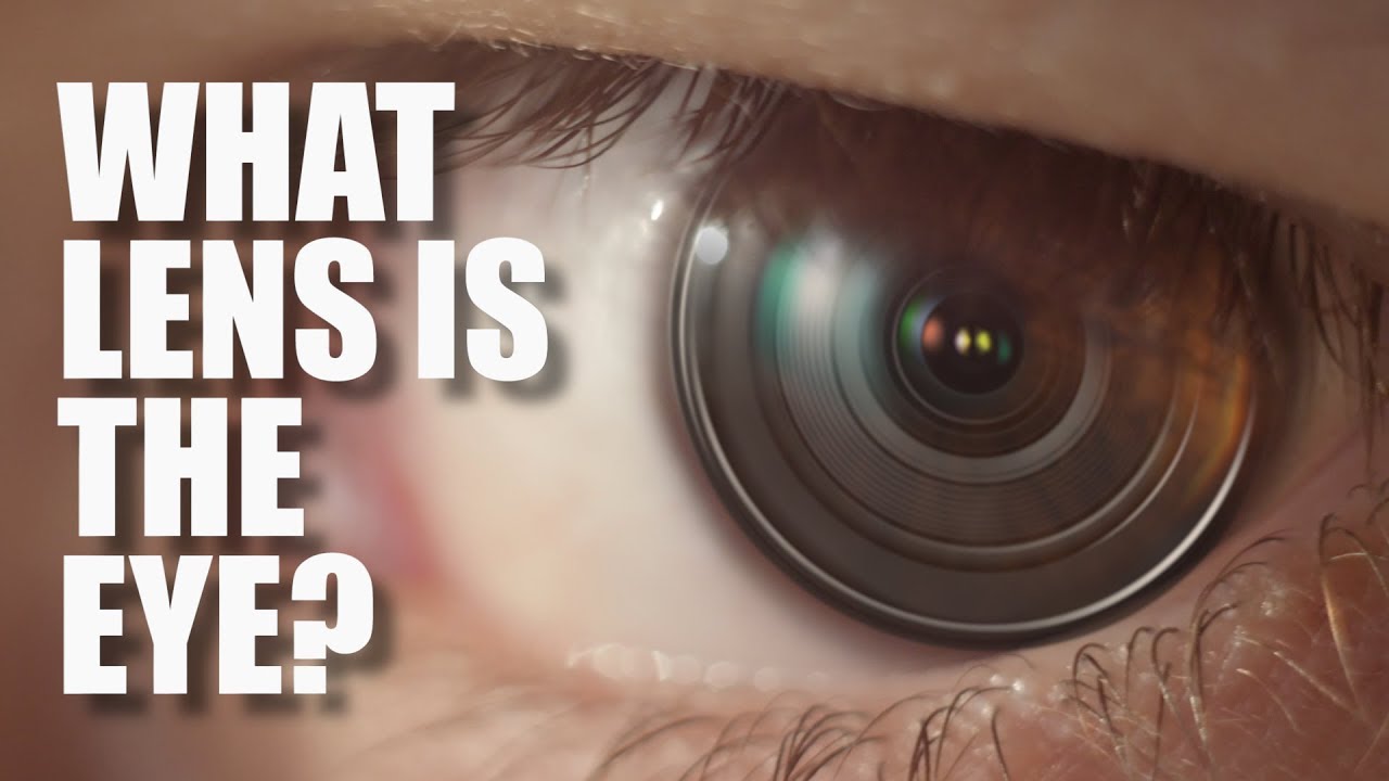 What LENS is the EYE? / REVIEW of MY LEFT EYE