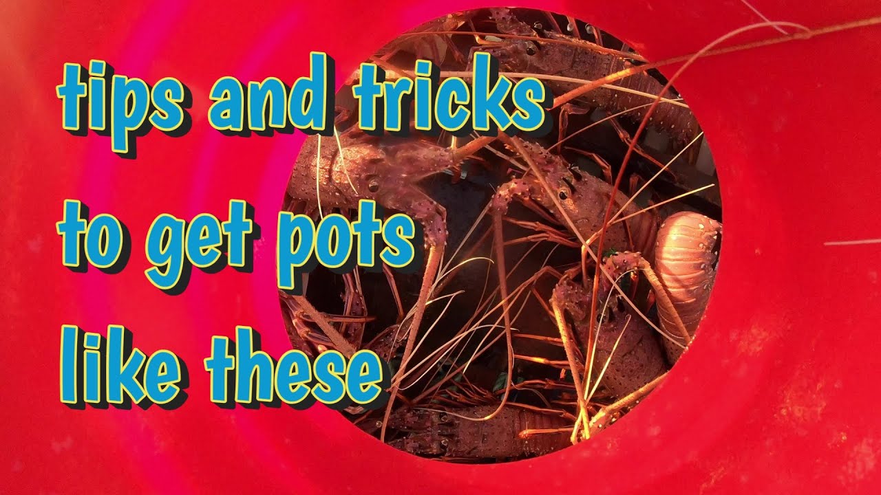 How to catch Crayfish 2021 - Recap on where, why and how  to be successful this season