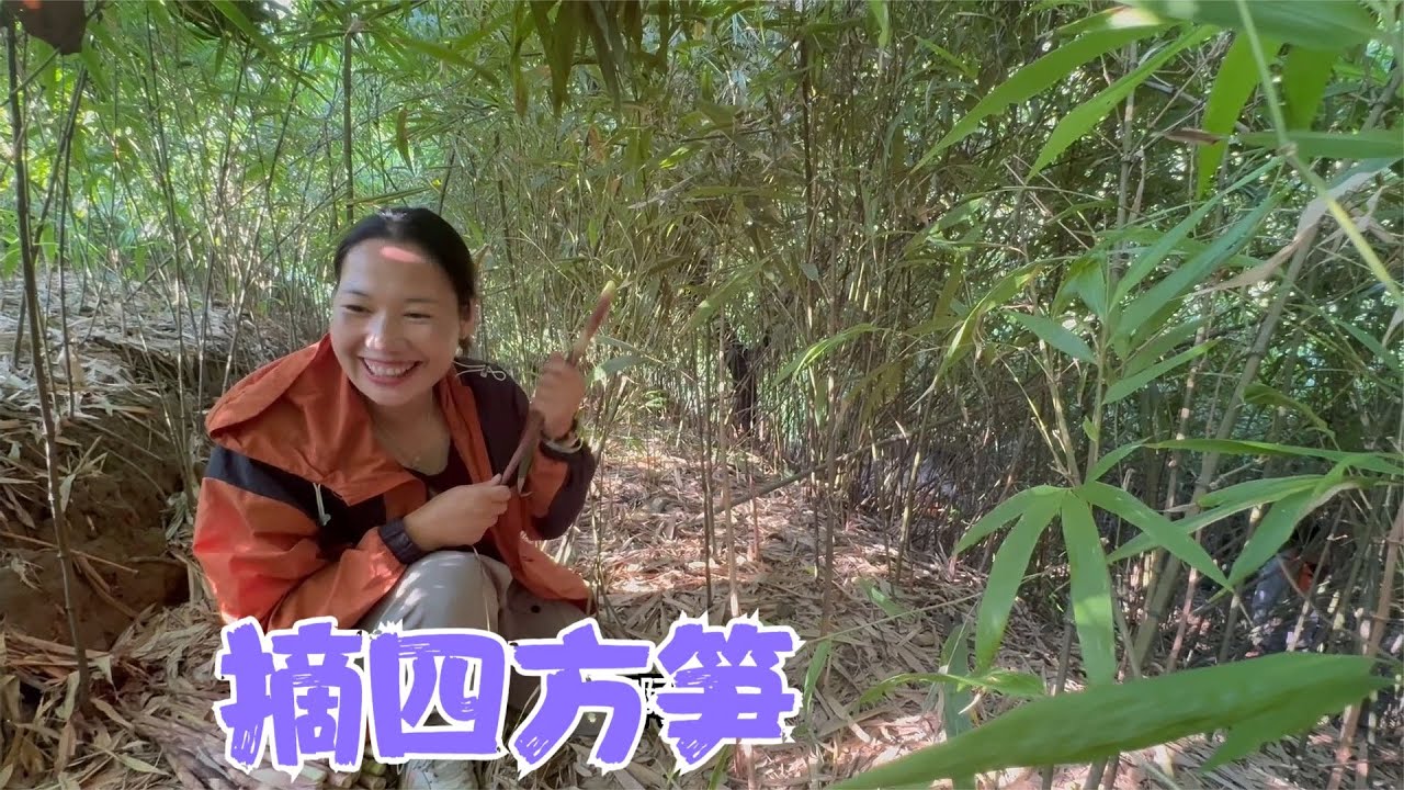 邻居姐姐约去摘笋子，阿恋摘了满满一篮四方笋，做了一坛泡椒笋子