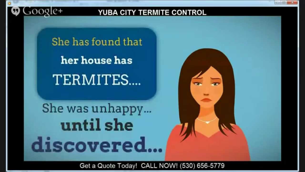 Yuba City Termite Control | (530) 656-5779 | Termite Control Yuba City