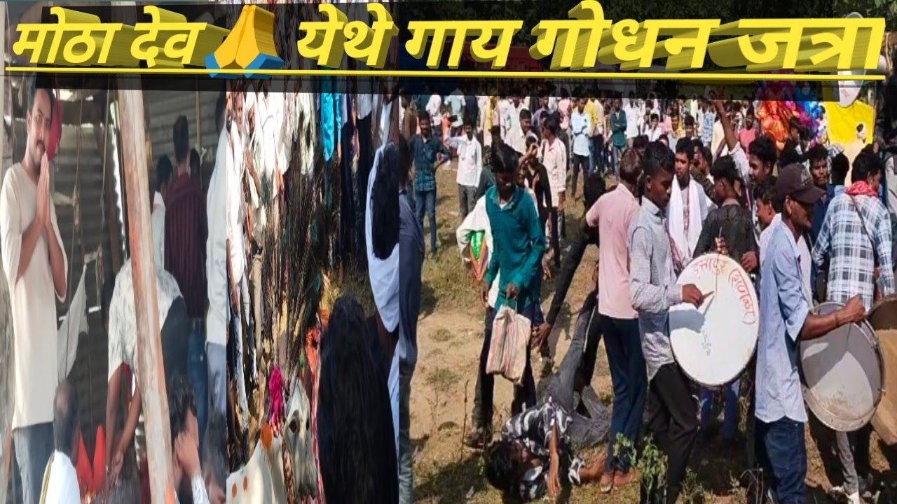 मोठा देव 🙏 येथे जंगलामध्ये गाय गोधन साजरा केला 🪔🎇
