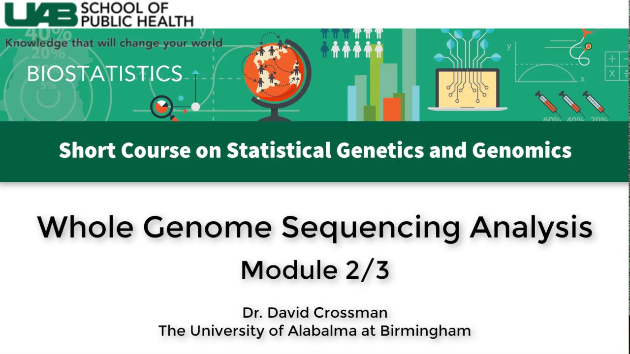 Whole Genome Sequencing Analysis - Module 2
