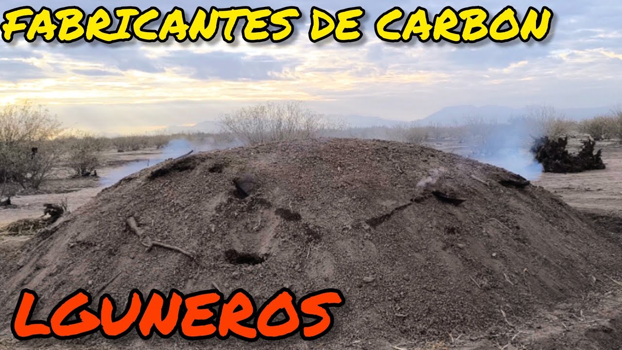 UN TRABAJO ARTESANAL MUY ANTIGUO EN LA LAGUNA HACER EL CARBON DE MEZQUITE