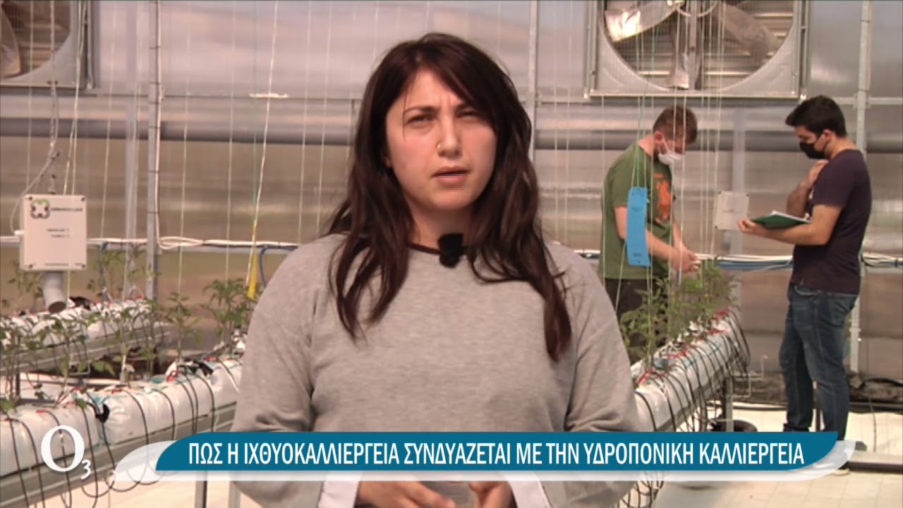 Ένα ιχθυοτροφείο κι ένα θερμοκήπιο μοιράζονται το νερό | 27/04/2021 | ΕΡΤ