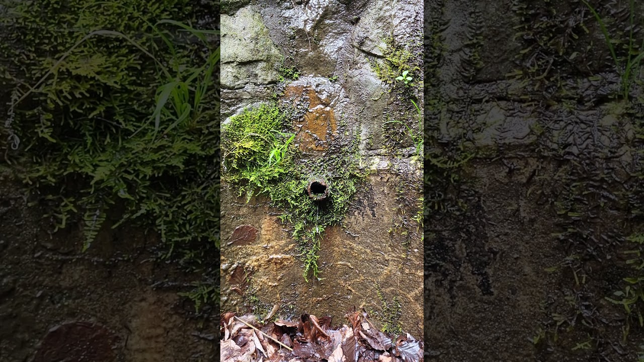 Susza: ledwie kapie! #water #drought #spring