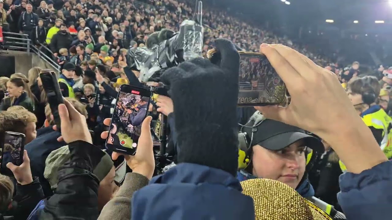 Viking FK Seriemester 2025