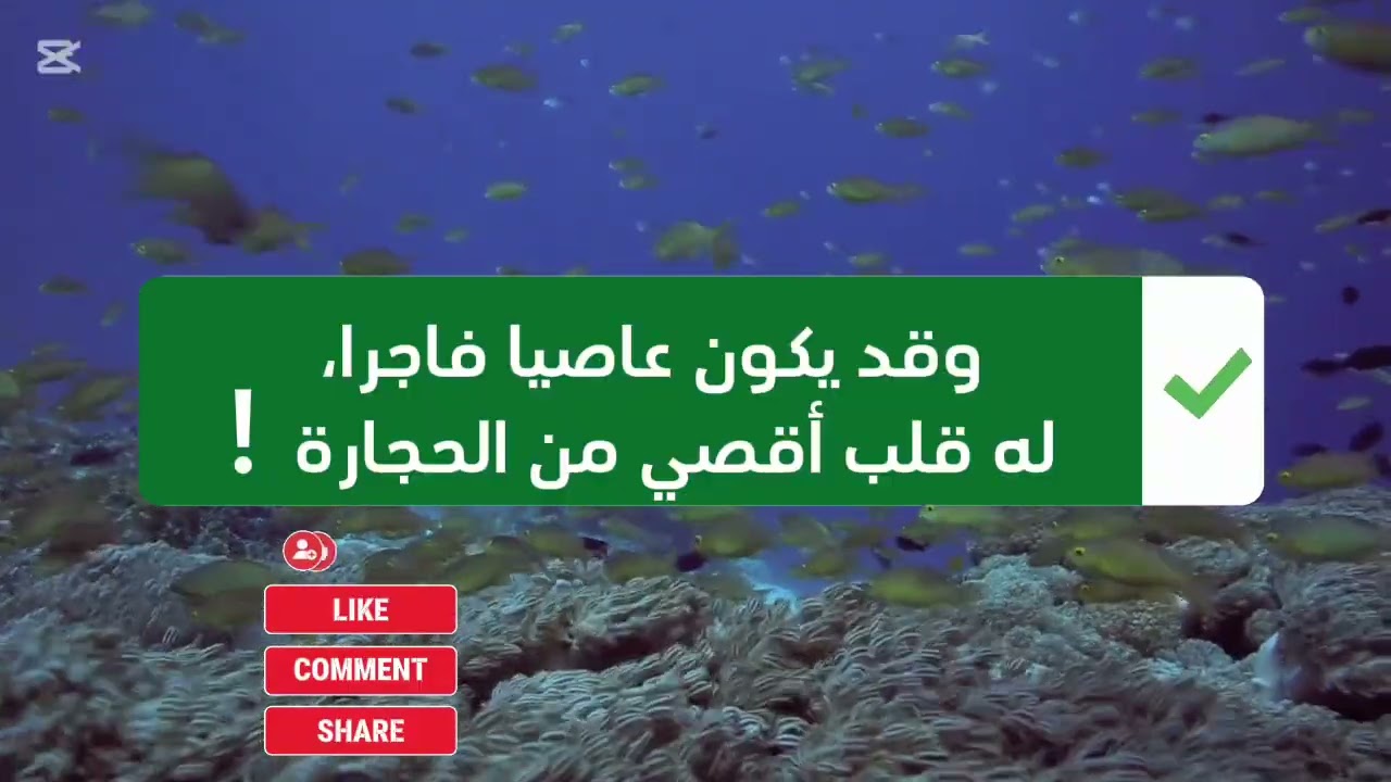 أثقل في الميزان من جبل أحد  #اكسبلور #الدعوة #لايك #قصص 