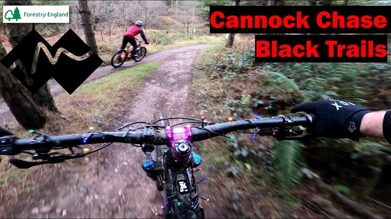Cannock Chase EMTB - New Specialized Turbo Levo Comp Alloy 2023