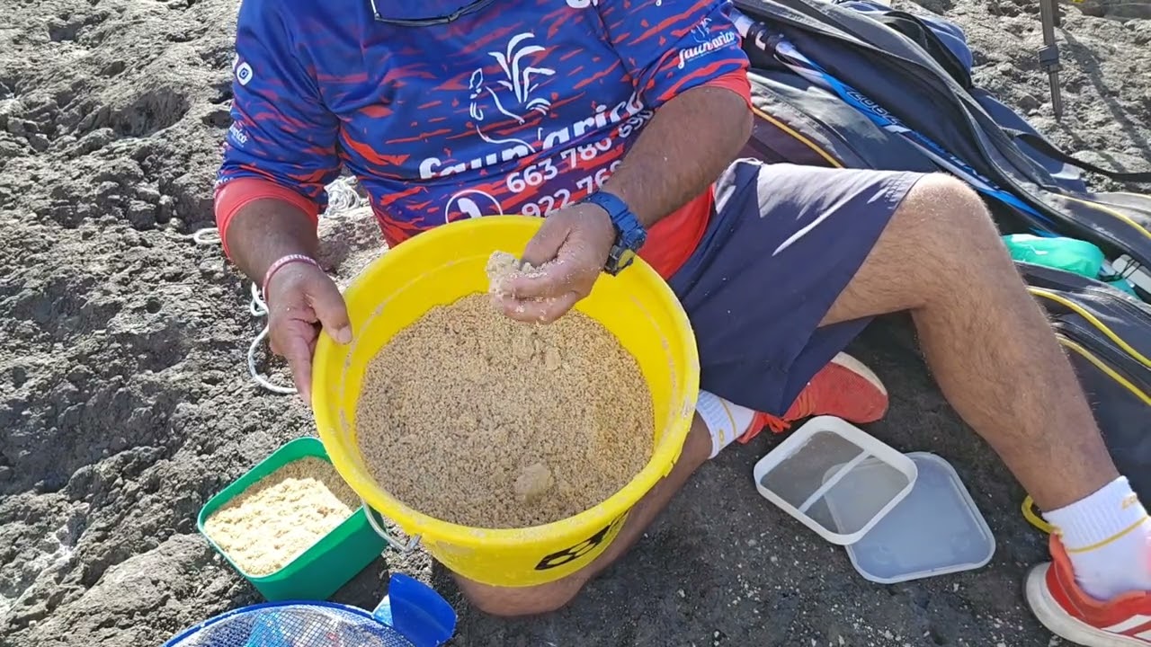 pescando solo con ASTICOTS  a corcheo mar