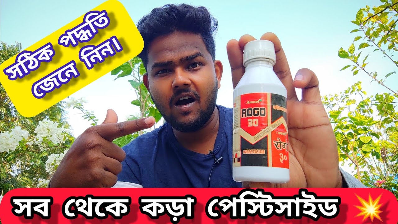 How to Use DIMETHOATE 30% E.C. | পাতা ছিদ্রকারী পোকার ওষুধ - Rogo 30 Pesticides | Rogor & Tafgor |