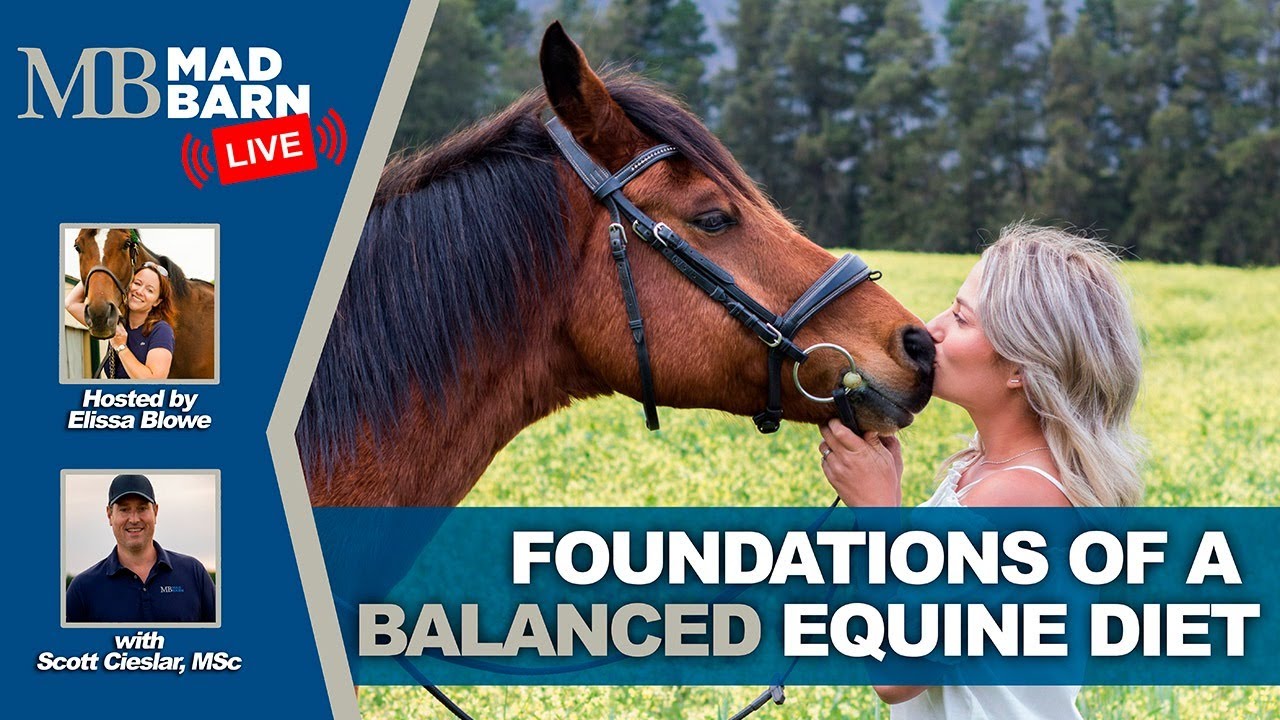 Foundations of a Balanced Equine Diet