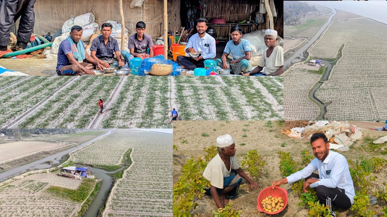 বরগুনার ১৬ কানির তরমুজ প্রজেক্ট | চরের মাঝের চাষিদের বাস্তব জীবনযাপন#তরমুজচাষ #farmer 