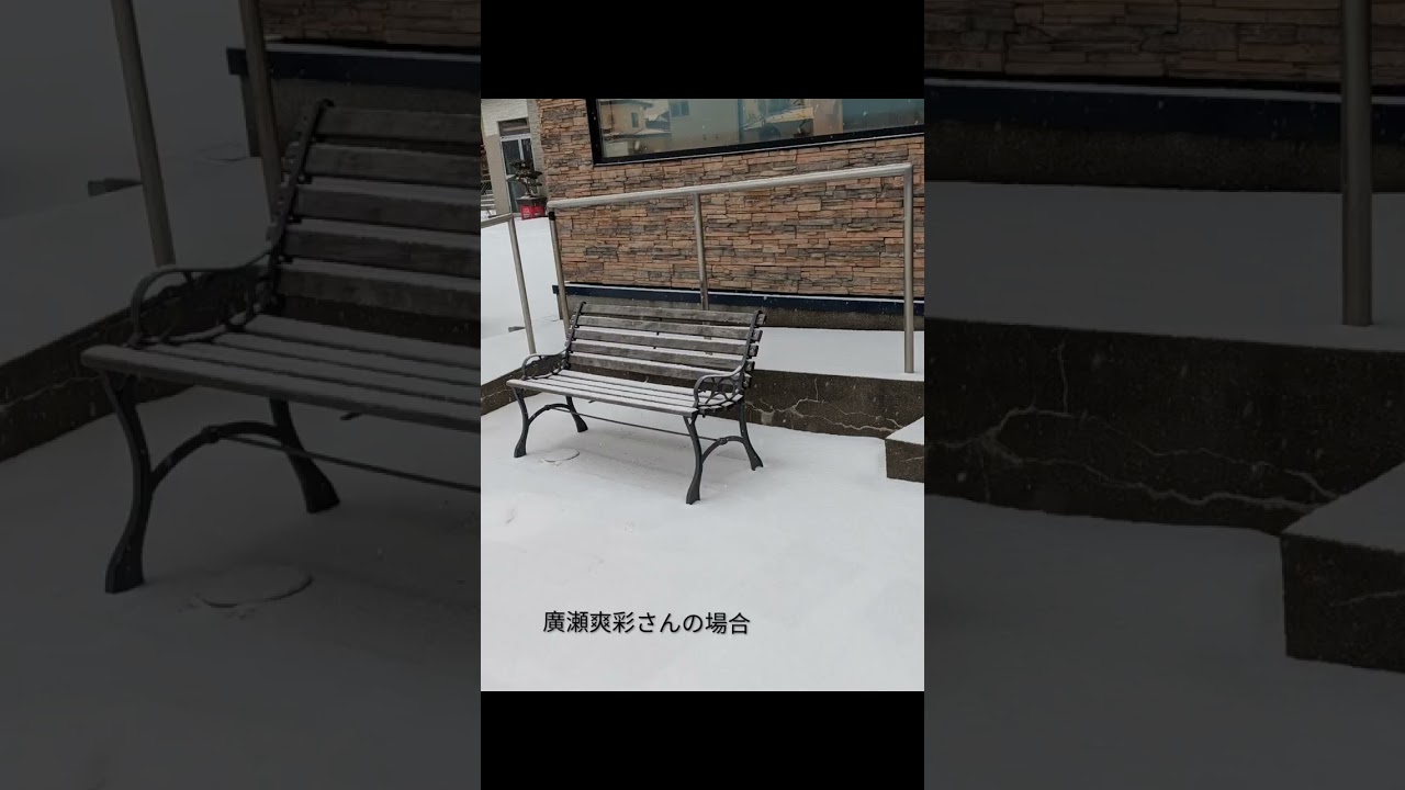廣瀬爽彩さん凍死事件　再調査委員会の報告書を徹底考察　✦他殺説（遺棄説)は絶対にあり得ない　青い鳥の事件簿