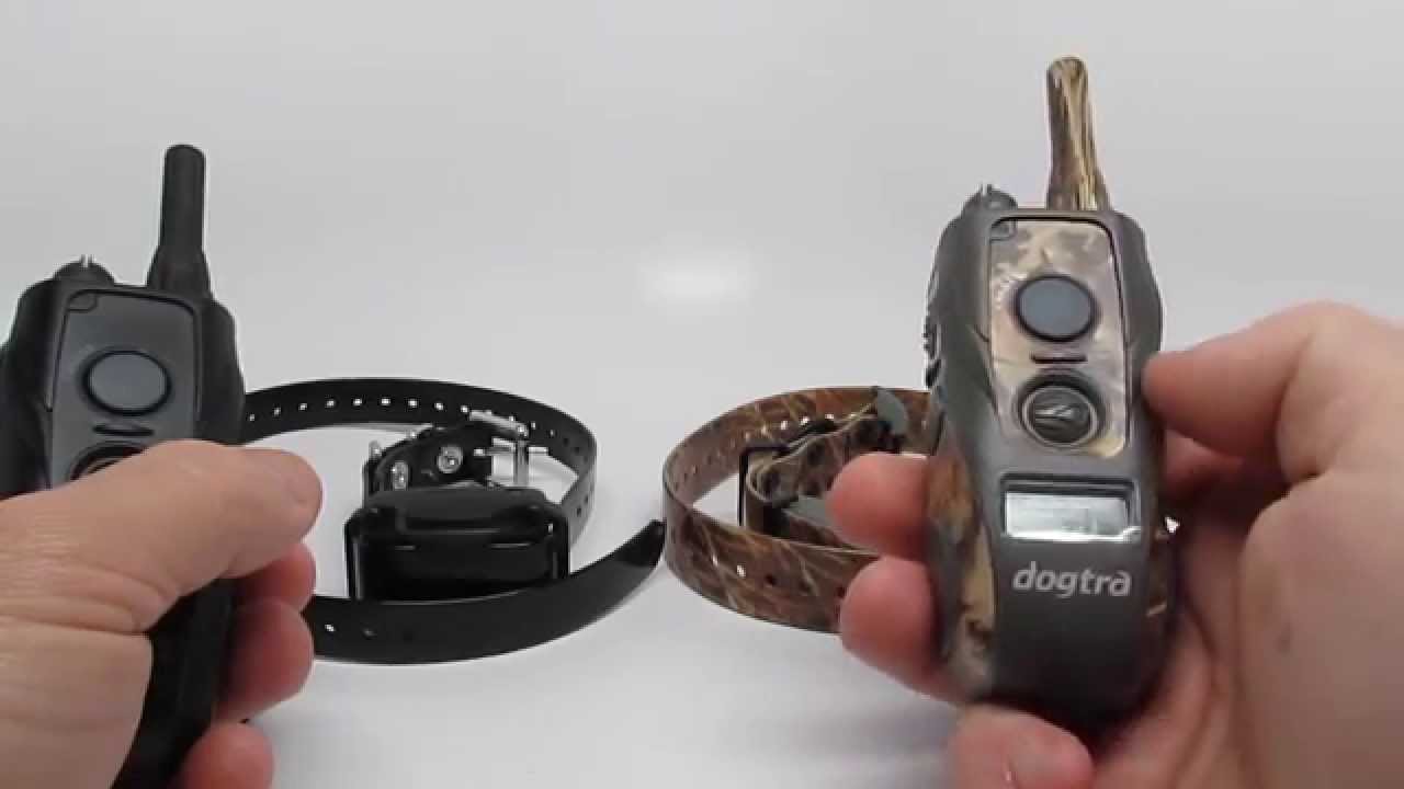 Dogtra ARC VS Dogtra 280C