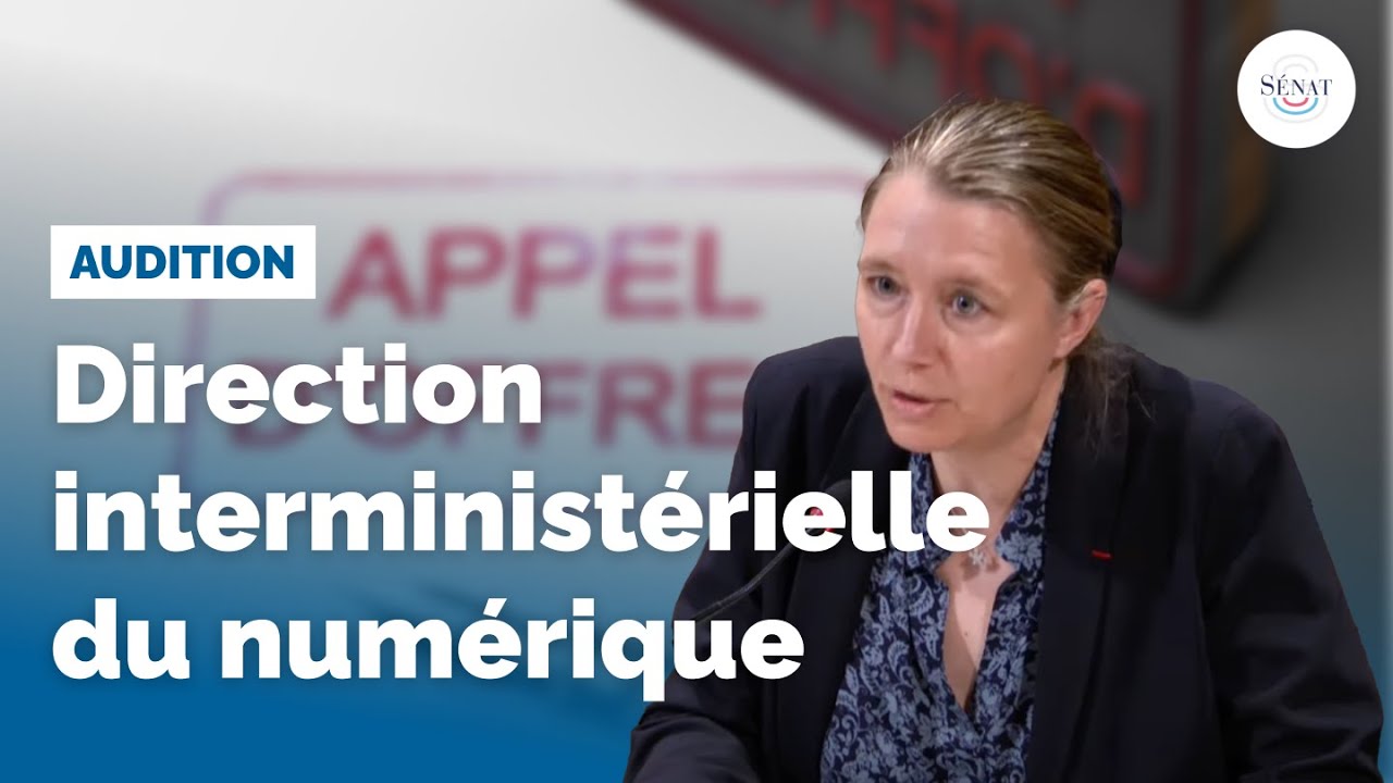 Commande publique : Direction interministérielle du numérique