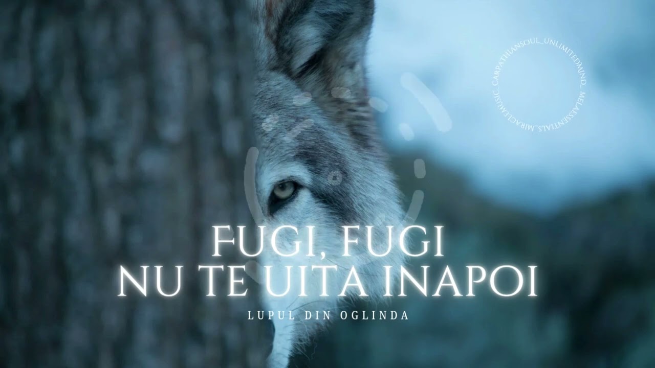 Fugi, Fugi, nu te uita înapoi (Audio) | Lupul din Oglindă | Etno-Carpathian Beat
