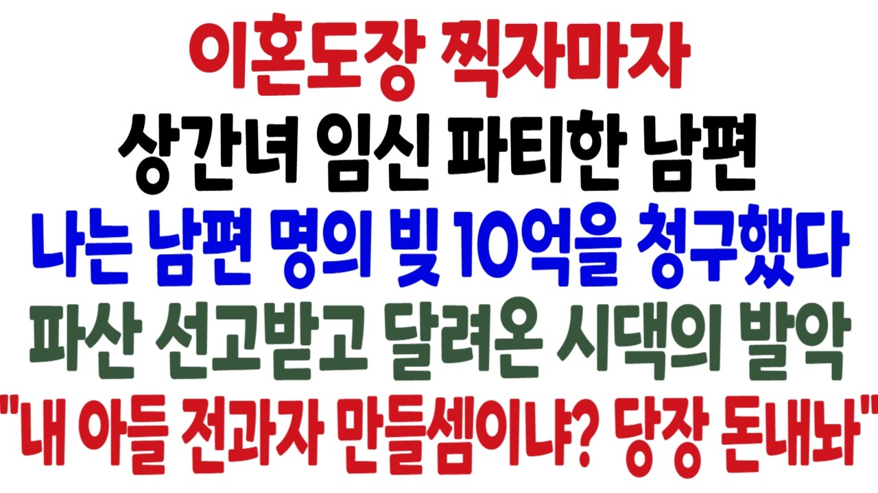 이혼 도장 찍자마자 상간녀 임신 파티한 남편 나는 남편 명의 빚 10억을 청구했다 파산 선고받고 달려온 시댁의 발악 
