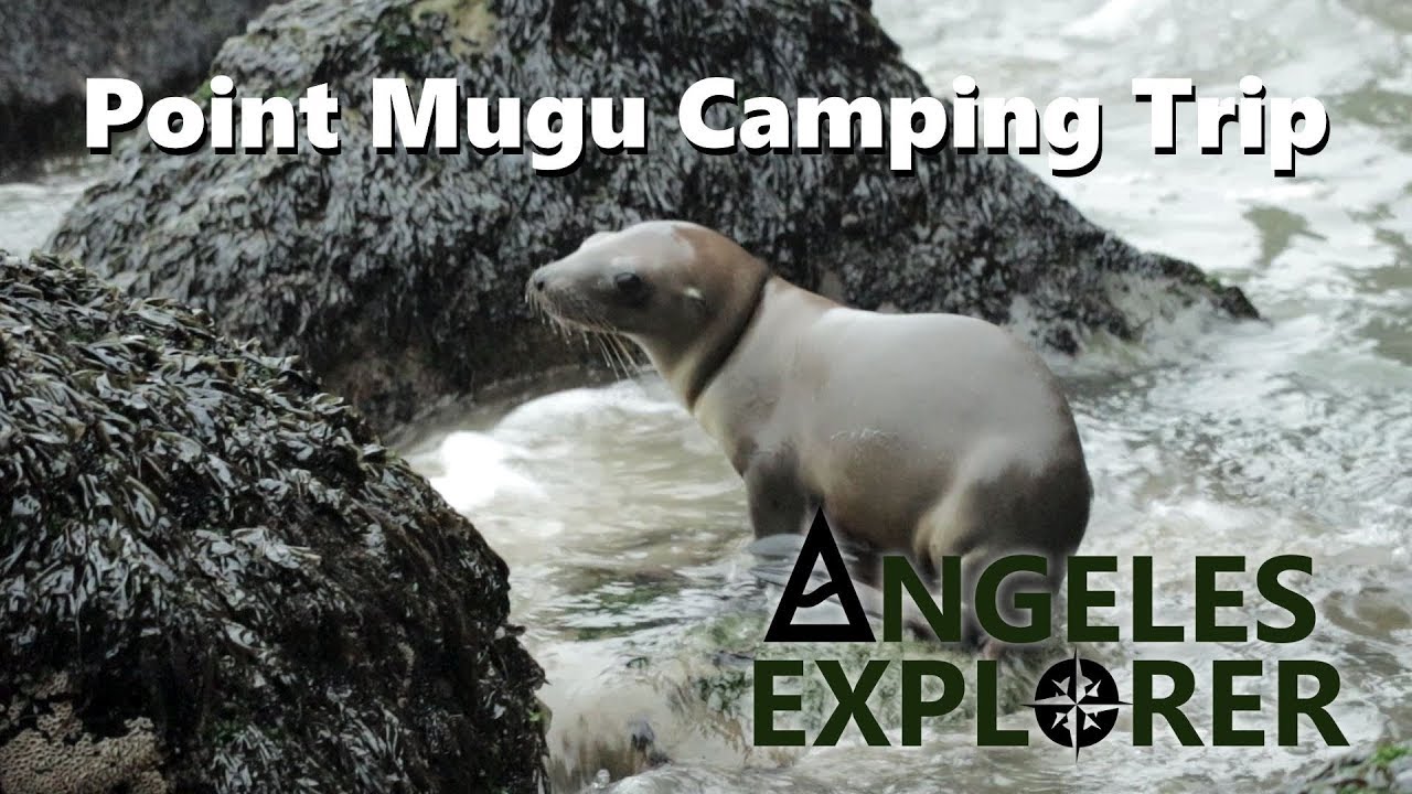 Point Mugu State Park Camping Trip, Santa Monica Mountains