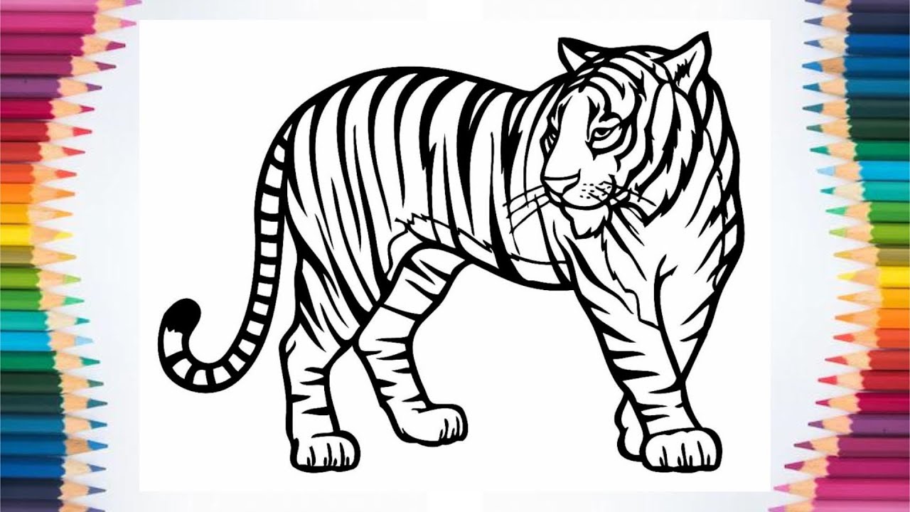 Tiger Coloring Page | Drawning, Coloring and Painting for Kids, Toddlers - 4K 60FPS
