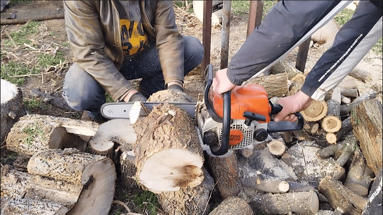 Motorna Testera STIHL MS-170 Seca drva 2024 pt.2