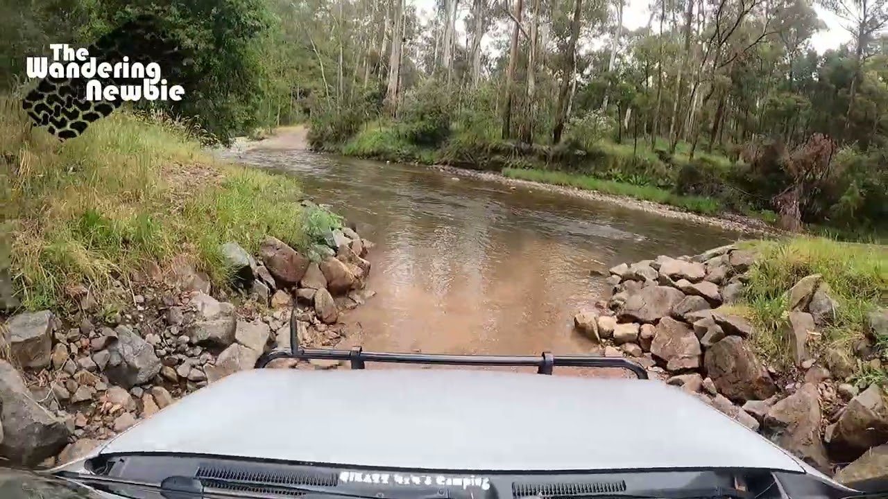 Running Creek Campground - Howqua SF - Victoria