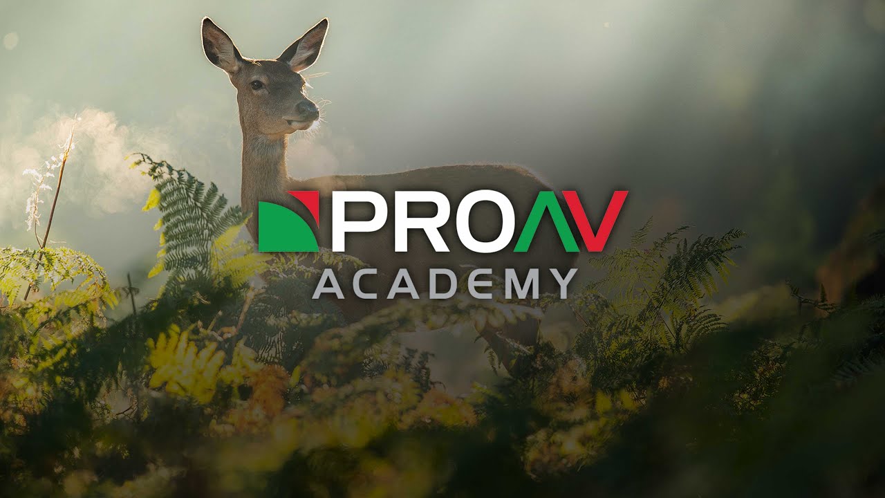 What is RAW? | Tech Terms with Alister Chapman | ProAV Academy