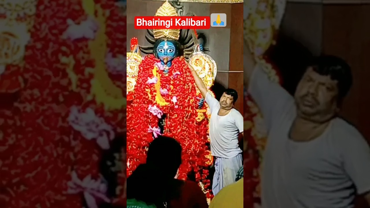 Durgapur Bhiringi Kalibari 2025🙏#shorts_video #shorts #tour#travel #durgapur#kalibari#temple #viral