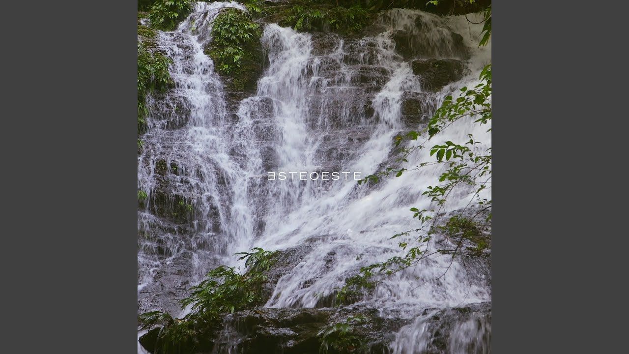 Pura (Noise)