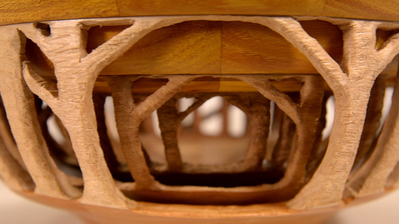The Forest Through The Bowl