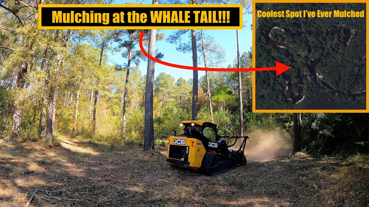 Coolest Place I've Ever Mulched! Mulching at the Whale Tale! Pt. 1