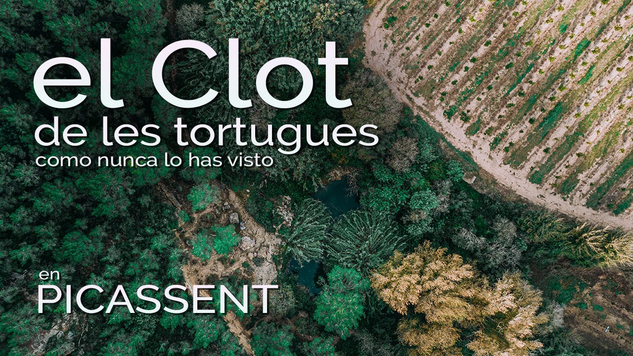 El Clot de les Tortugues en Picassent, como nunca lo has visto