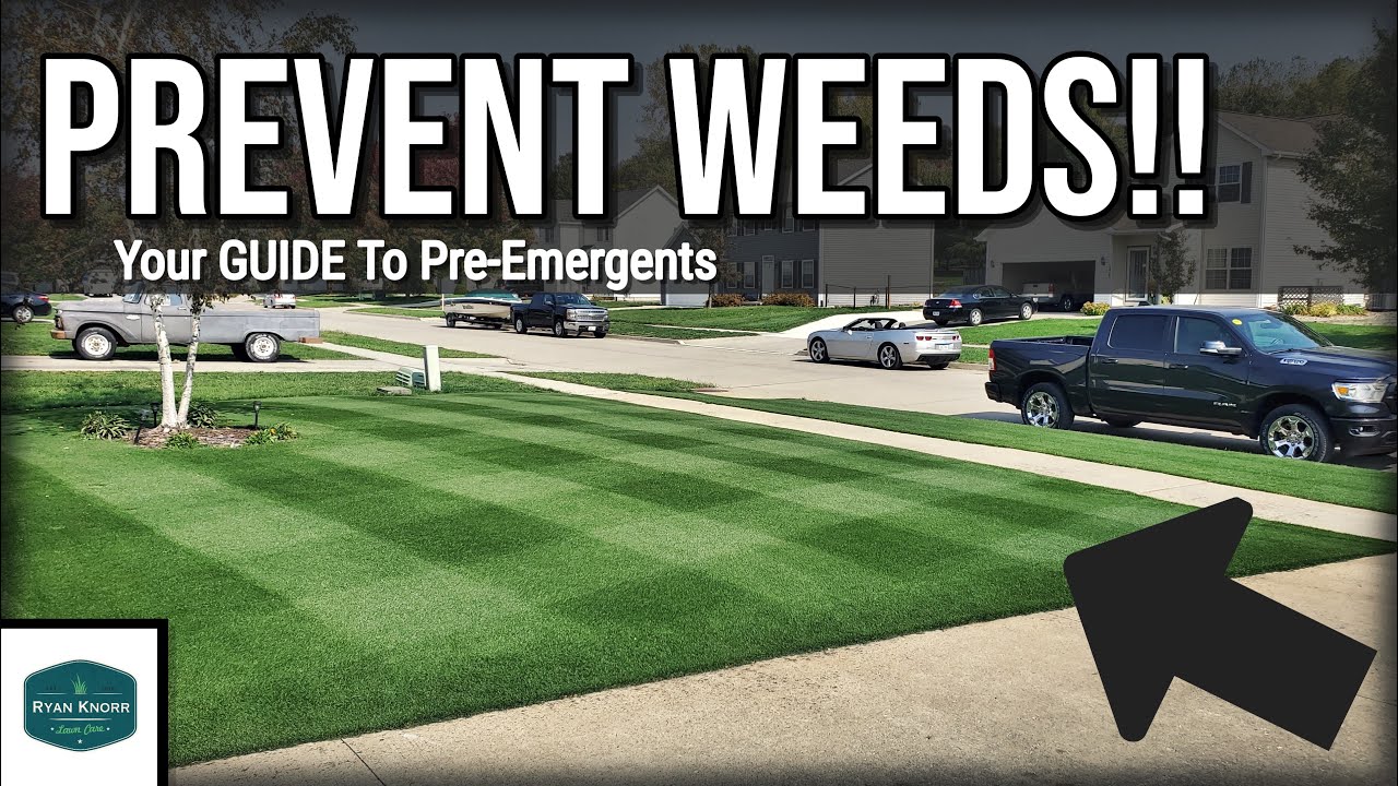 Your GUIDE To Pre Emergents // What They DO and DON'T Do For Your Lawn