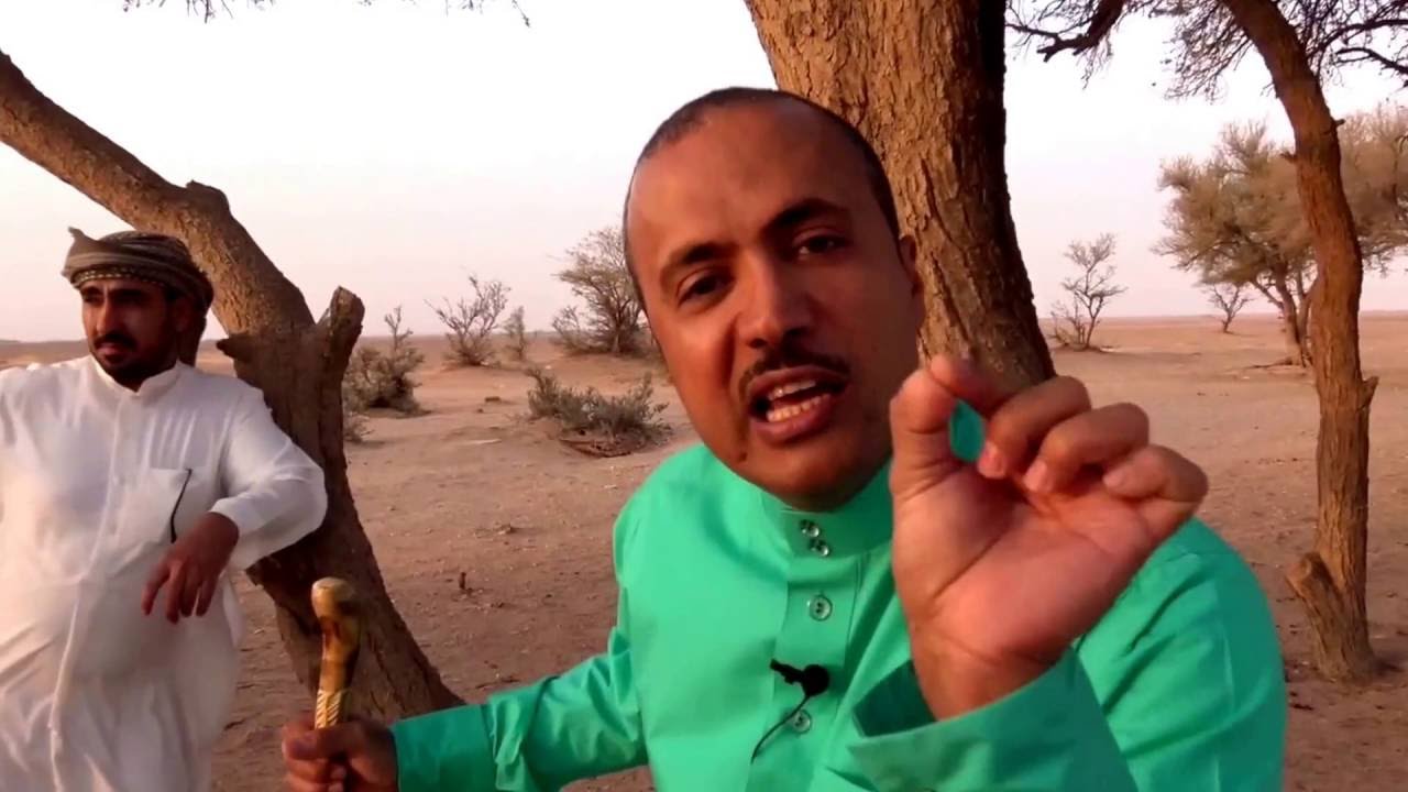 شاهدوا كيف يصبح ظلال الطلح أفضل من فنادق الخمسة نجوم ..
