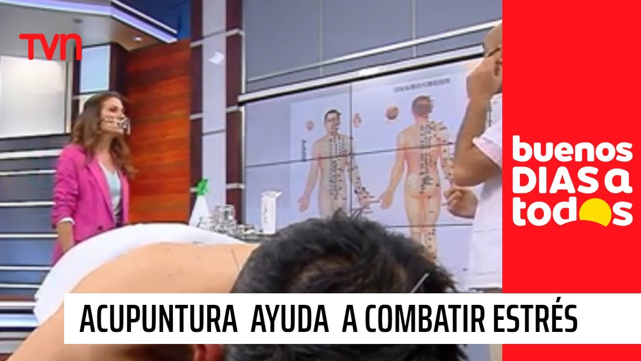 La acupuntura puede ayudarlo a combatir el estrés | Buenos días a todos