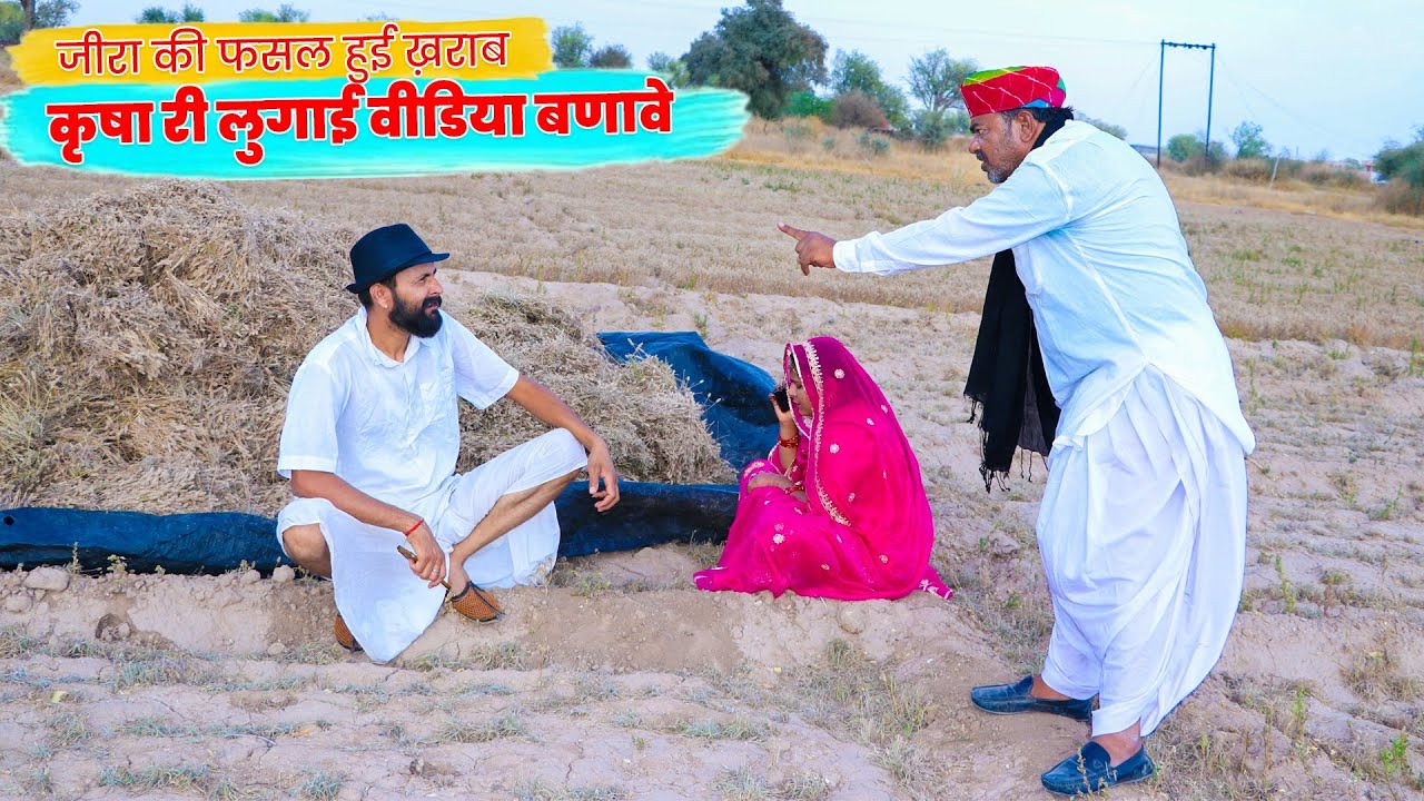 Cumin crop got spoiled, Krisha's wife should make a video. Rajasthani Comedy Video 🤣✅