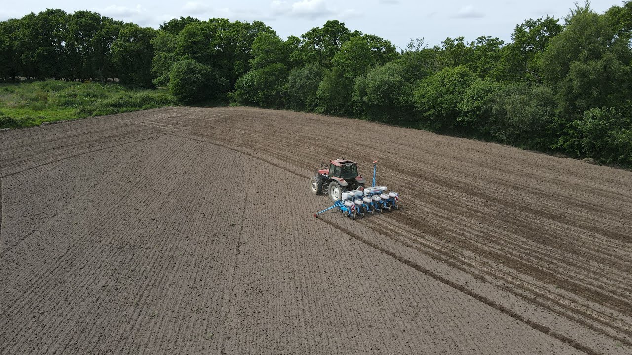 😍DEUX MAGNIFIQUES ENSEMBLES AUX SEMIS DE MAÏS🌽😍