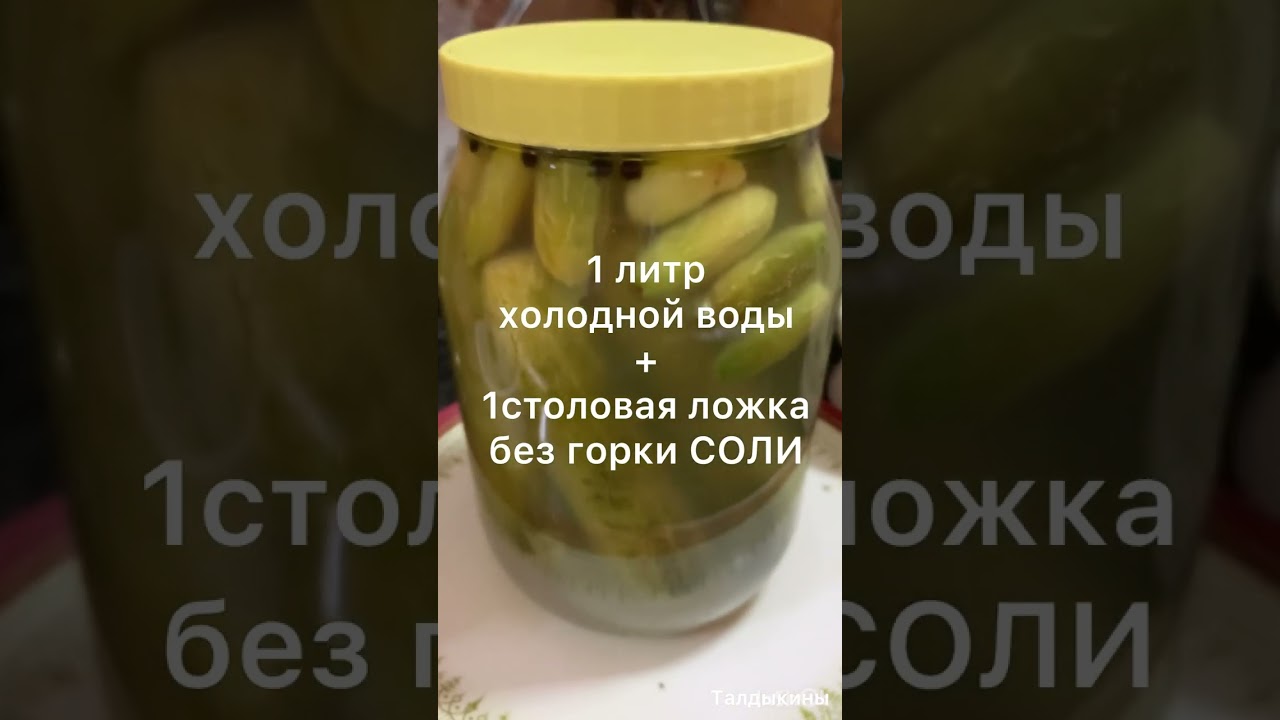 Ферментированные огурцы#готовимдома #готовимвкусно #shortvideo #shorts #youtubeshorts