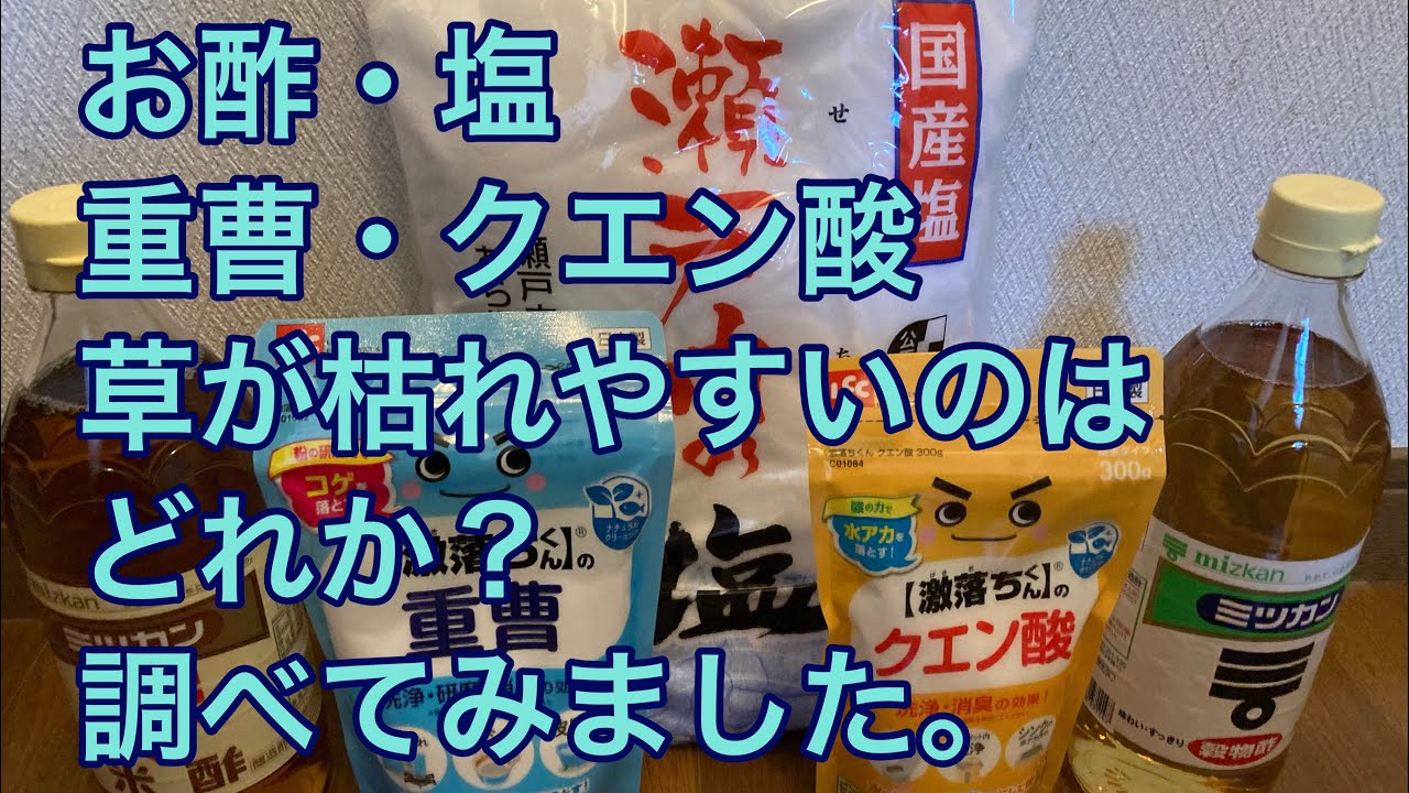 お酢・塩・重曹・クエン酸の中で草が枯れやすいのはどれか？調べてみました。　#草枯らし　#セイタカアワダチソウ　#YouTube
