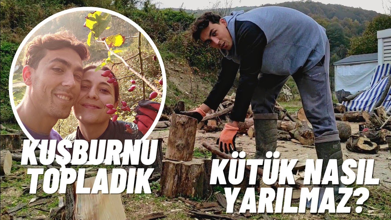 Kış Hazırlıklarımızı Yapıyoruz - Kuşburnu Topladık