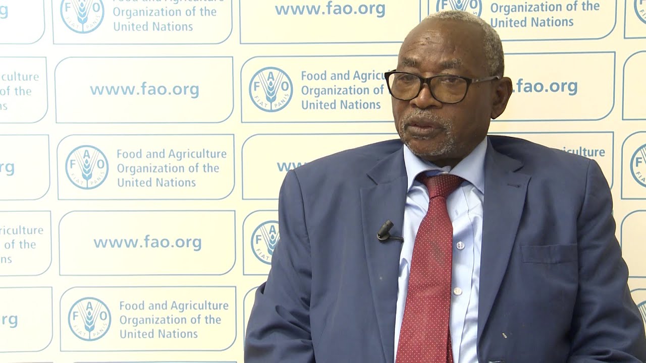 The Republic of the Sudan as a State partie to the PSMA