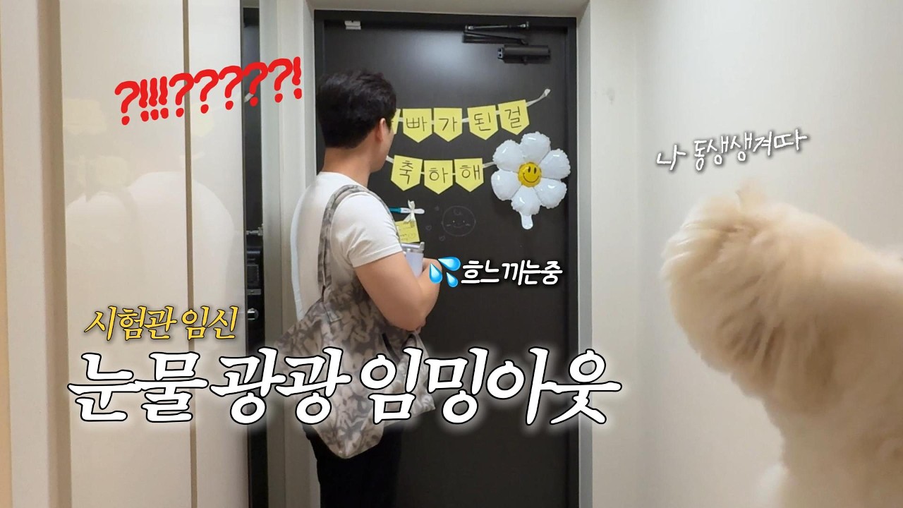 vlog 눈물의 임밍아웃 (파워F 남편반응)💦 시험관 임신 🤰