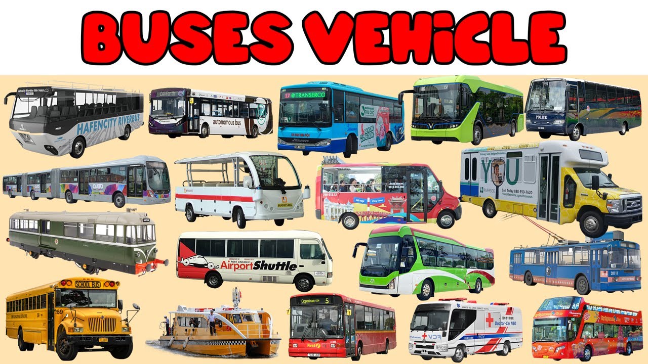 BUS, Police Bus, School Bus, City Bus, Coach | Learning Vehicle Types of Bus, Bus name collection