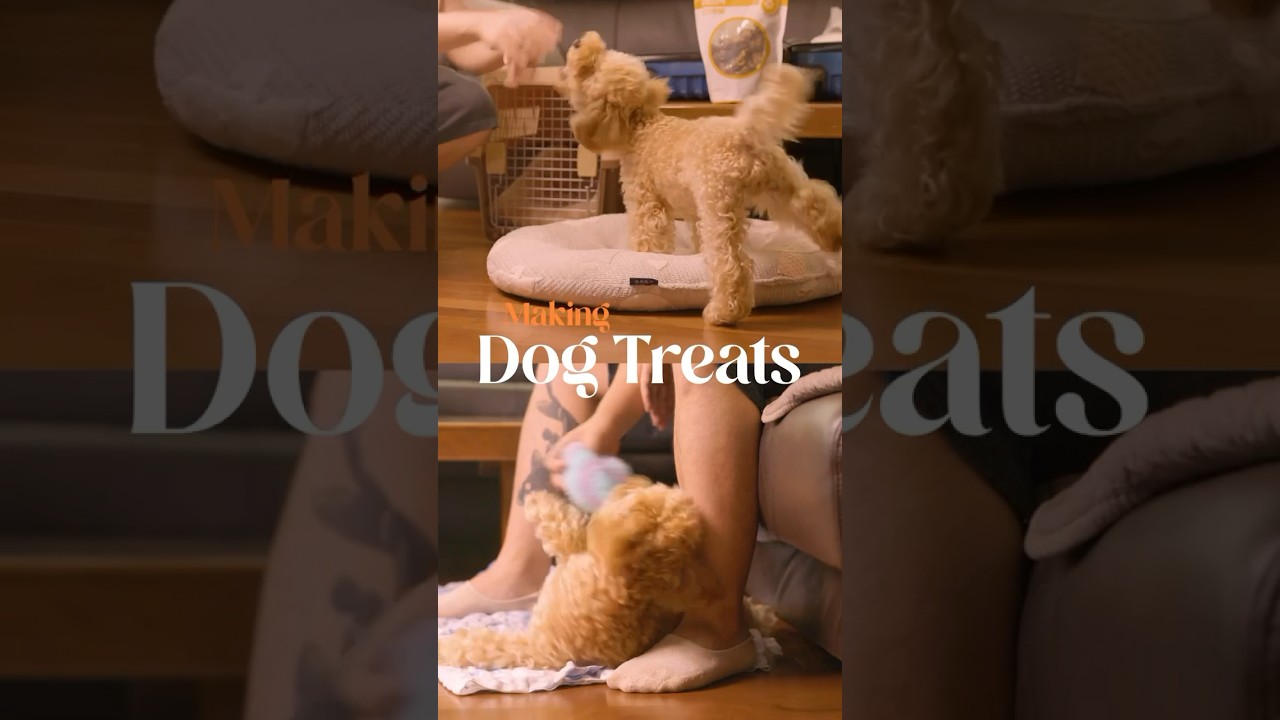 Beef jerky for dogs [FULL VIDEO IN COMMENTS] #shorts #Dehydrator #dogtreats #beefjerky #PetTreats
