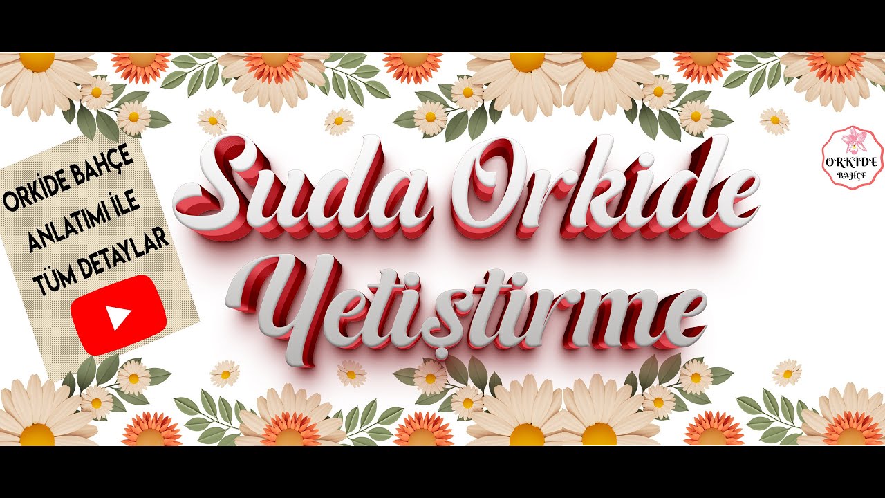 Suda Orkide Bakımı: Adım Adım Rehber | Su Kültürüyle Orkide Yetiştirme