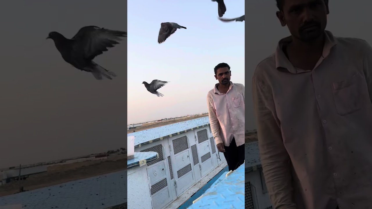 ٤ يونيو، ٢٠٢٤ رقم التواصل مع لم اللم المعجل ٩٦٥٦٦٥٠٥٥٧٠